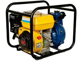 Запчасти мотопомпы Sturm BP8770
