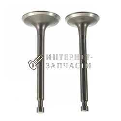 Комплект клапанов бензинового двигателя Loncin G160F 160117731_LC - фото 264674