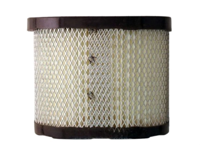 Воздушный фильтр B&S690610/498596