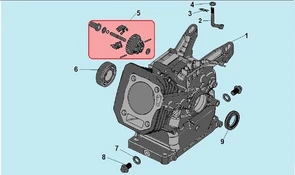 Сальник 22х41,25х6  двигателя Champion G120HK (рис.9) G120HK380650342-0001