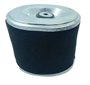 {{photo.Alt || photo.Description || 'Воздушный фильтр бензинового двигателя GX240, GX270.'}}