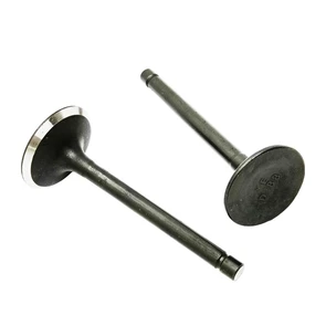 {{photo.Alt || photo.Description || 'Клапаны (пара) двигателя Loncin LC2V78F-2A'}}