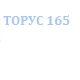 Транзисторный блок ТЗБ сварочного инвертора ТОРУС-165 3617426_str