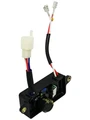 Регулятор напряжения (AVR) бензинового генератора Carver PPG-3900